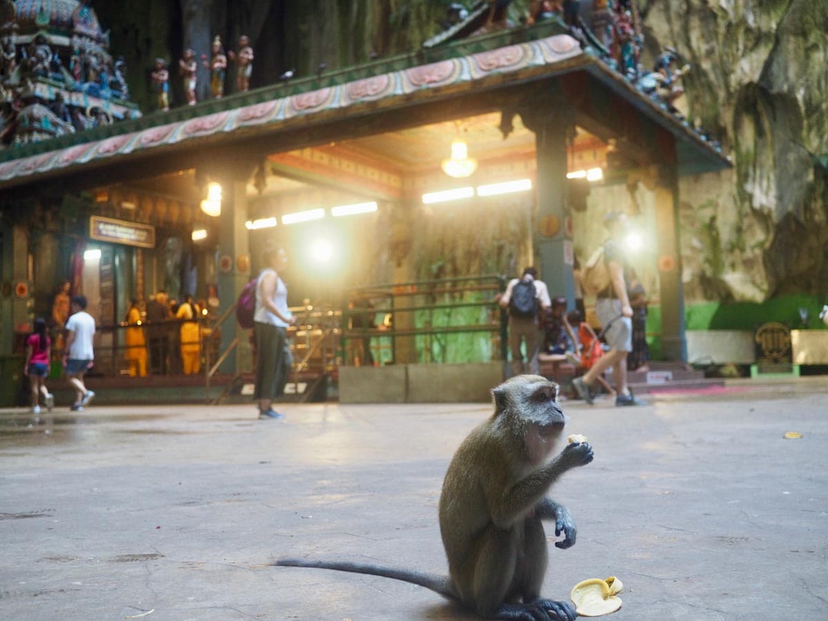 Batu Caves
