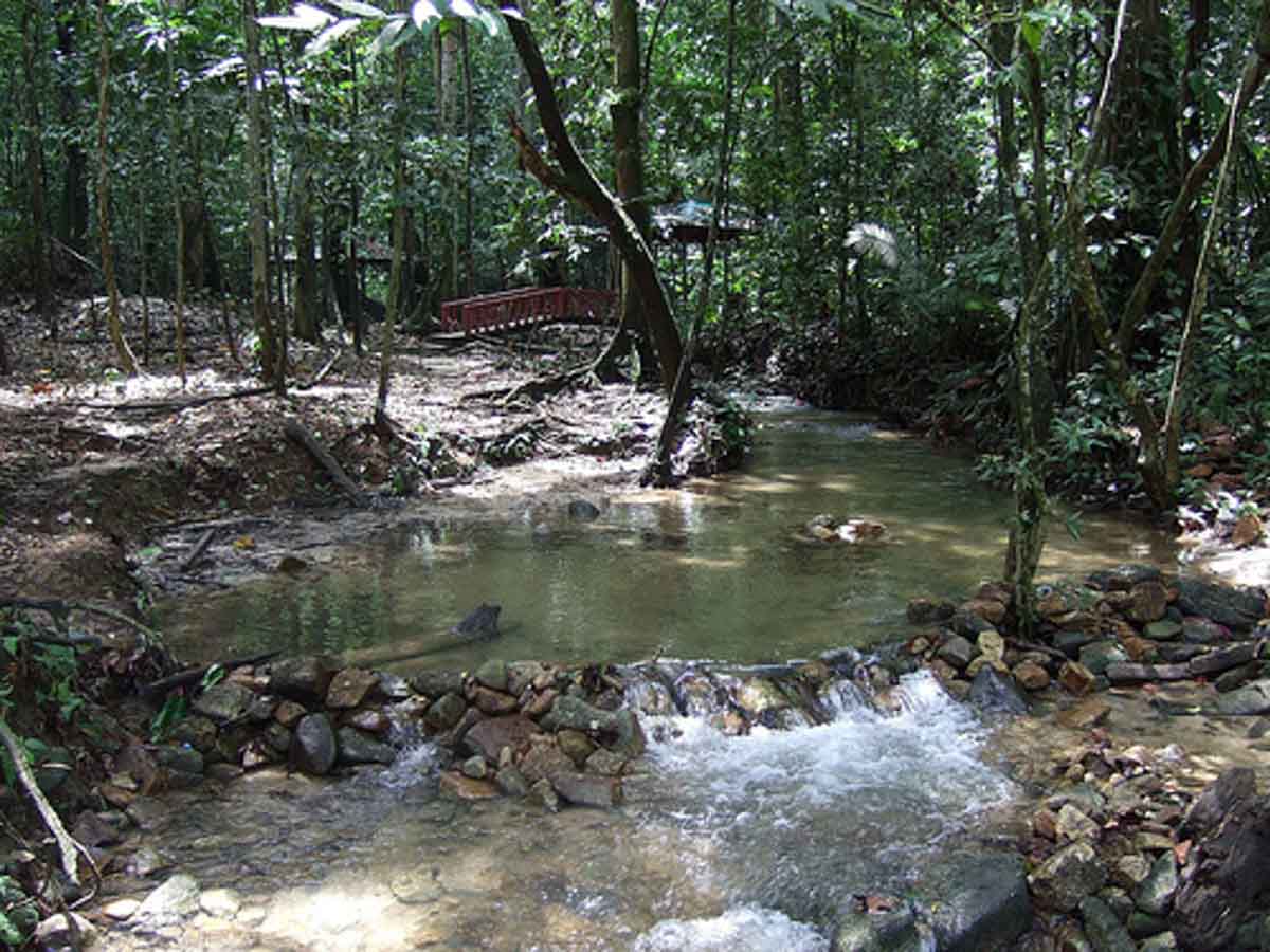 Templar Park Rainforest Retreat, Kuala Lumpur