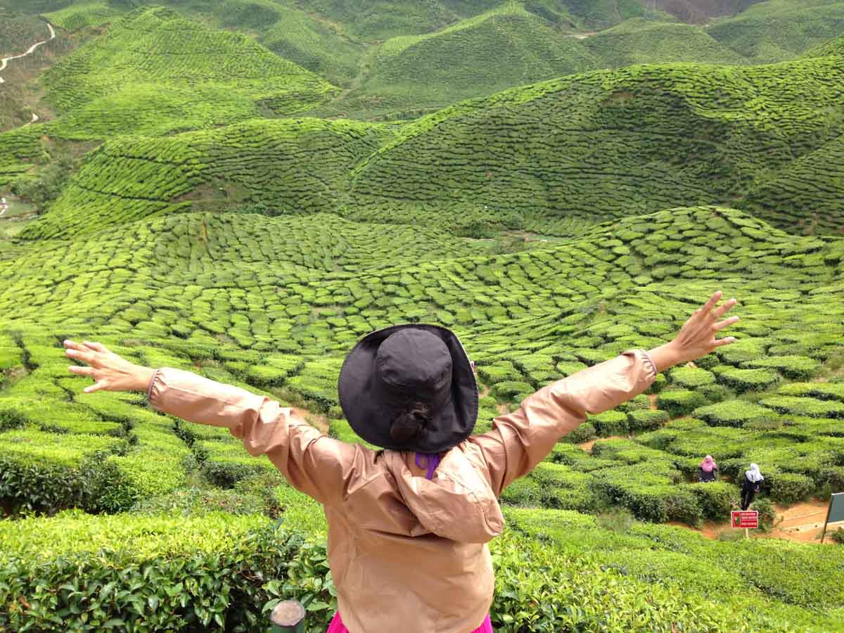 Cameron Highlands, Malaysia