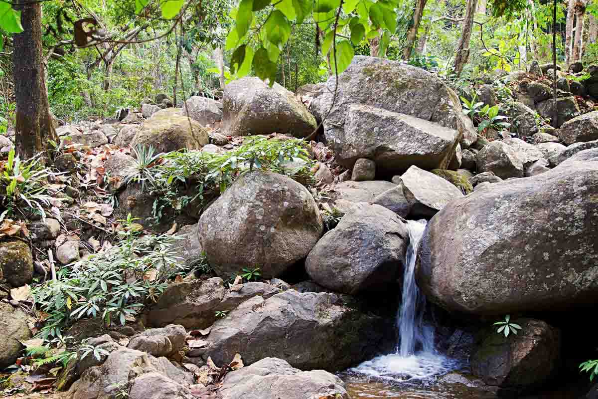 Chiang Rai