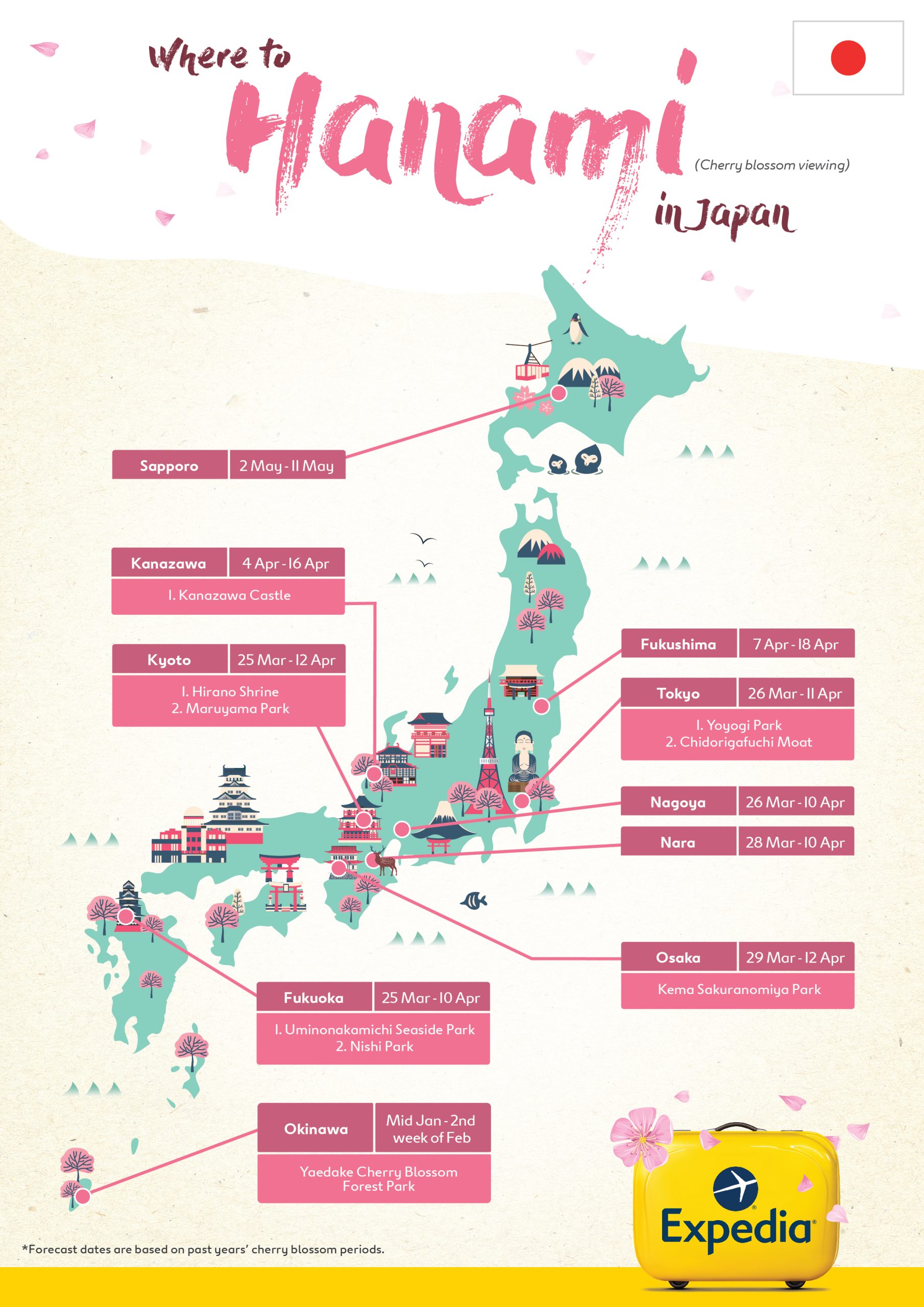 Cherry Blossoms Japan 2017