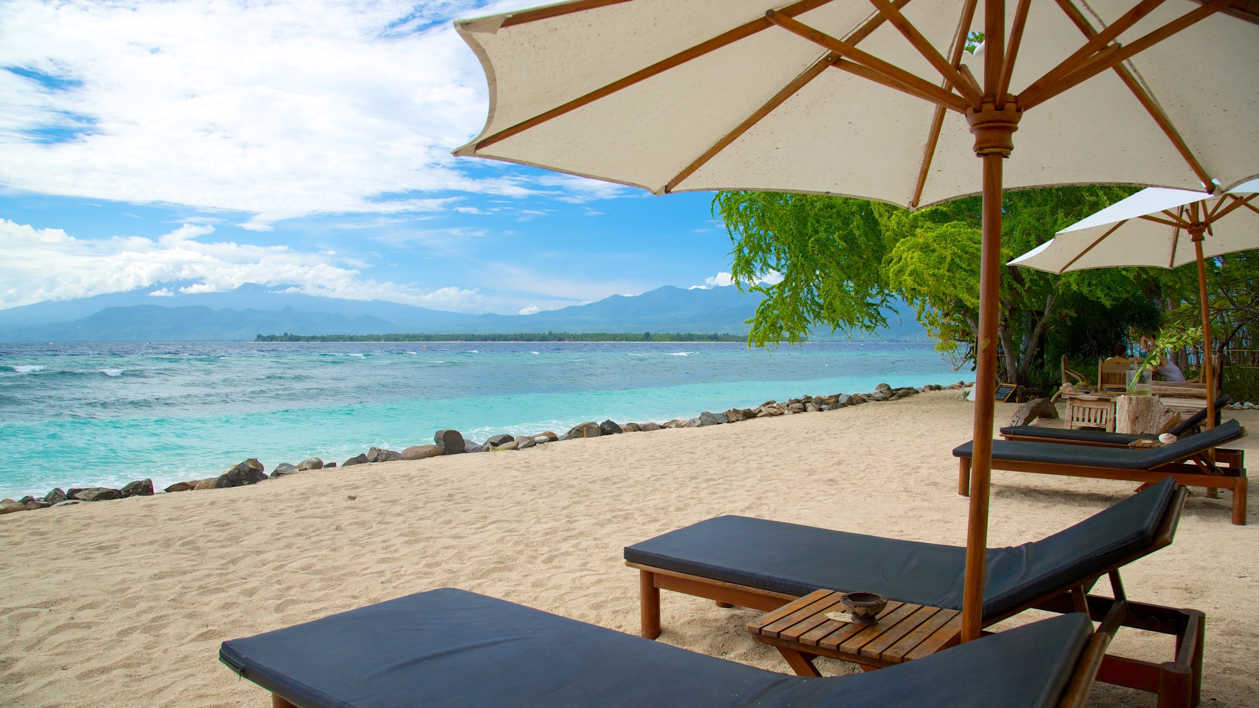 sun chair umbrellas facing beach