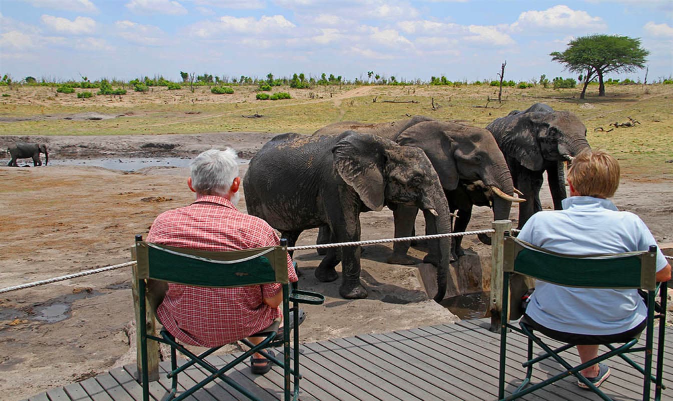 armchair wildlife watching somalisa camp