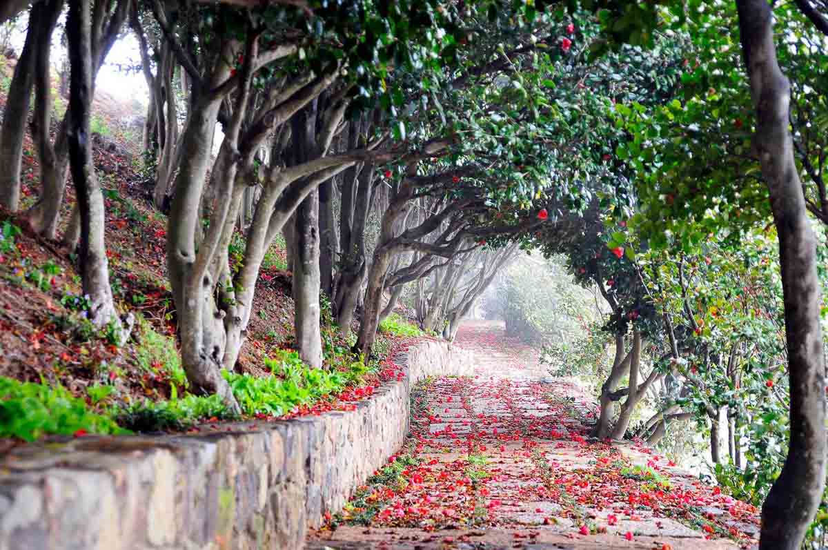 autumn-in-korea-5