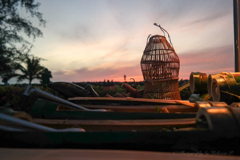 bamboo-food-sunset