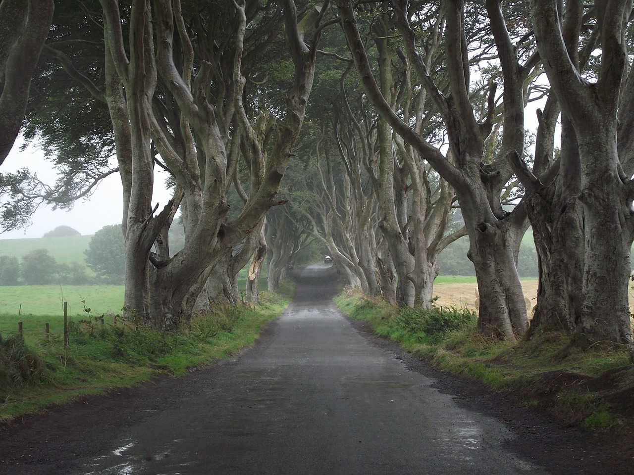 belfast-northern-ireland-dark-hedges