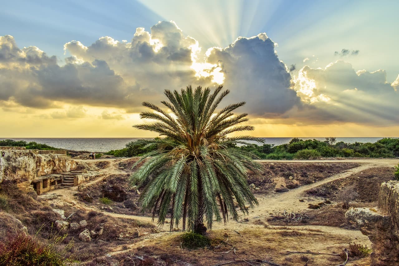 cyprus-tomb-of-the-kings