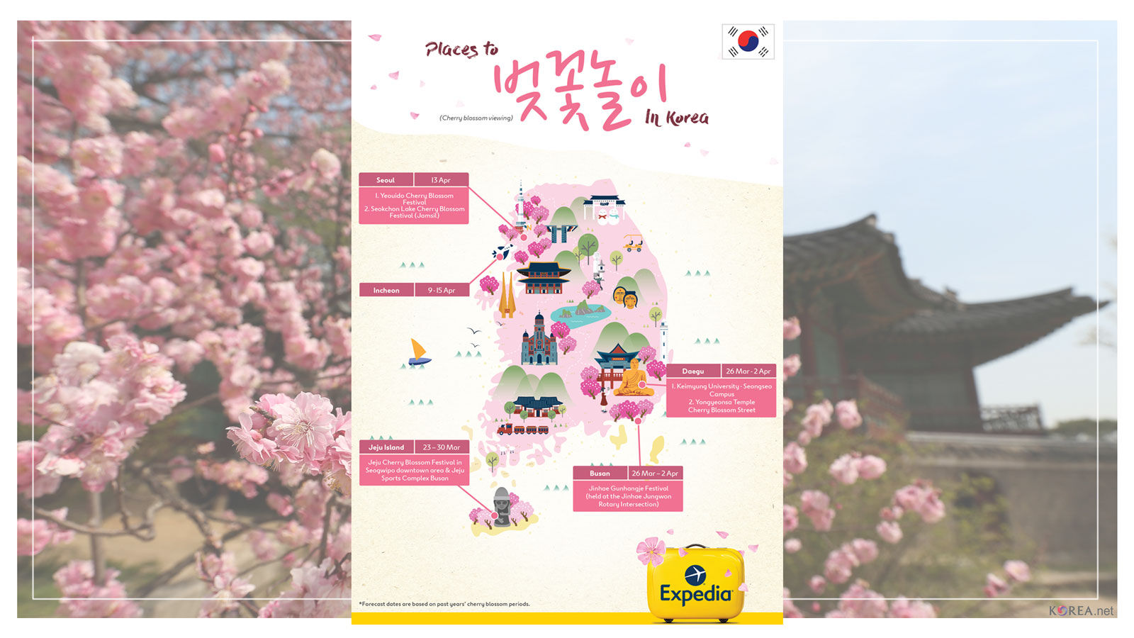 exp-cherry-blossom-korea-feat