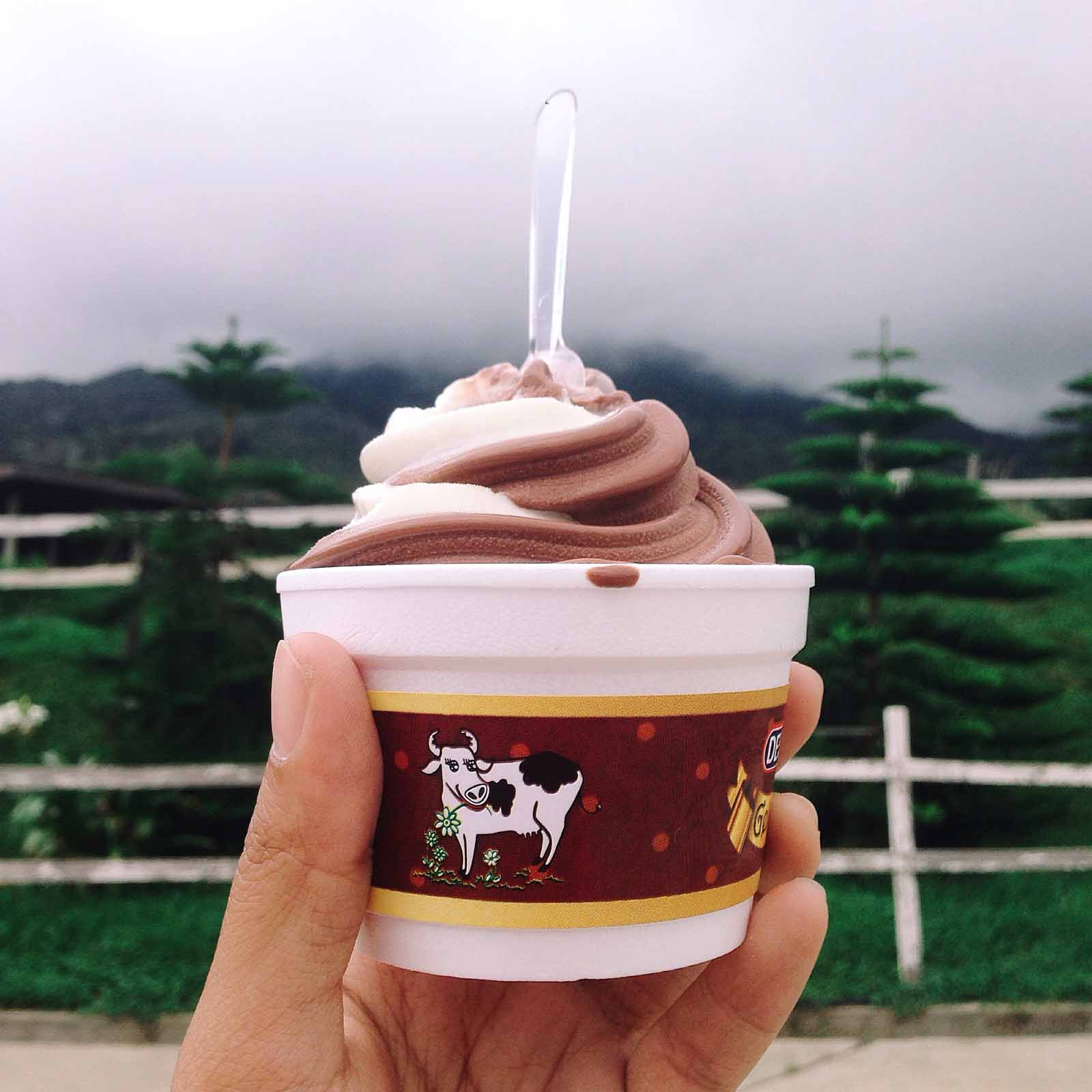 dairy-cattle-farm