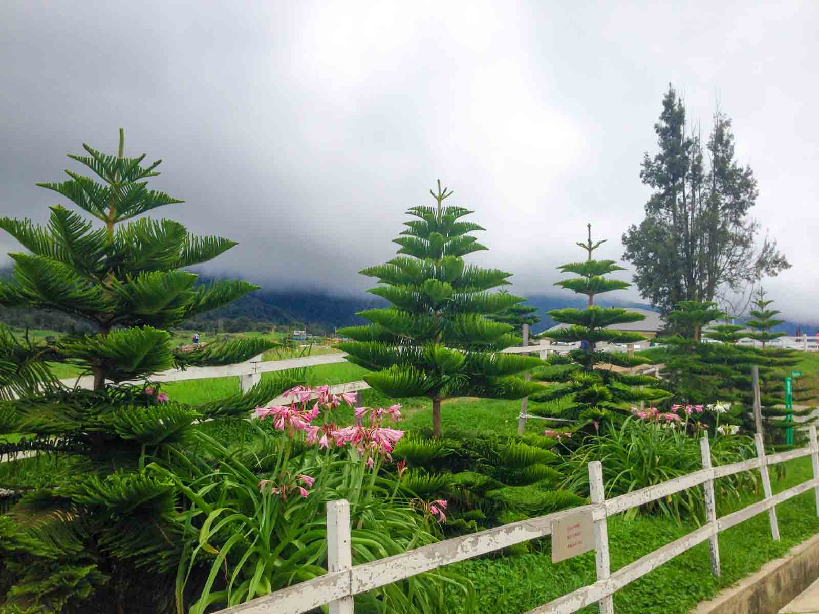 farm