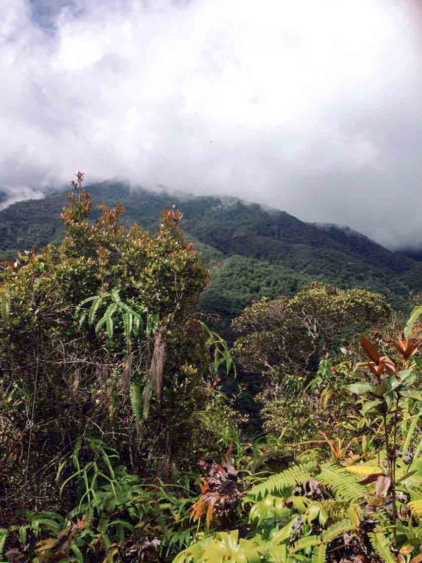 kinabalu-park