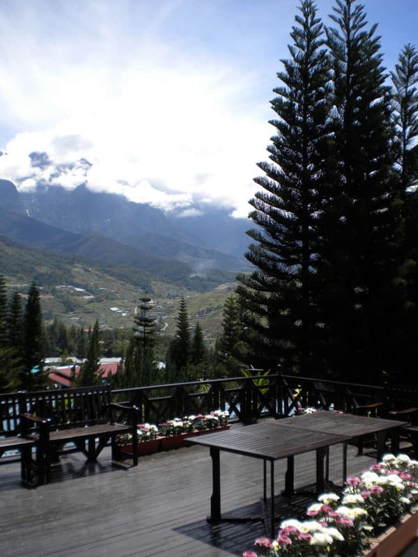 pine-resorts