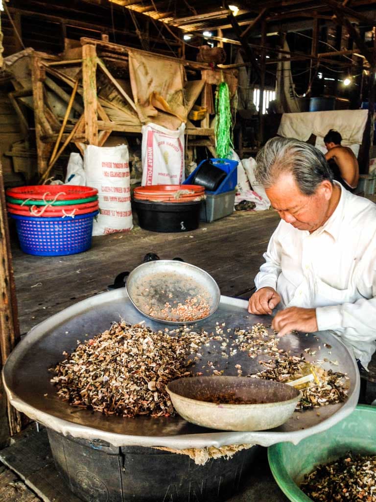 life-in-klang-3