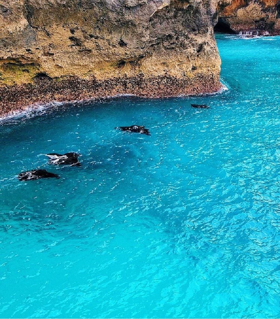 manta-point-nusa-penida