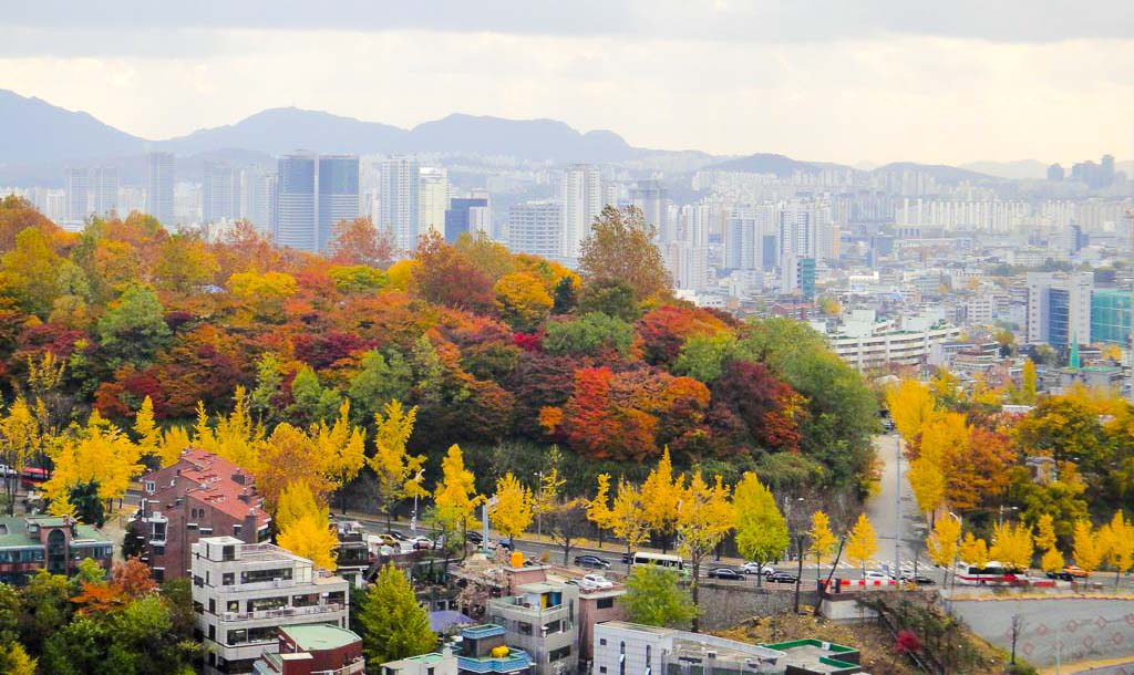 Autumn colour - Namsan
