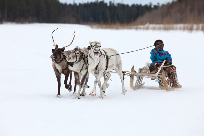 Nenet reindeer herders - Bucket List ideas