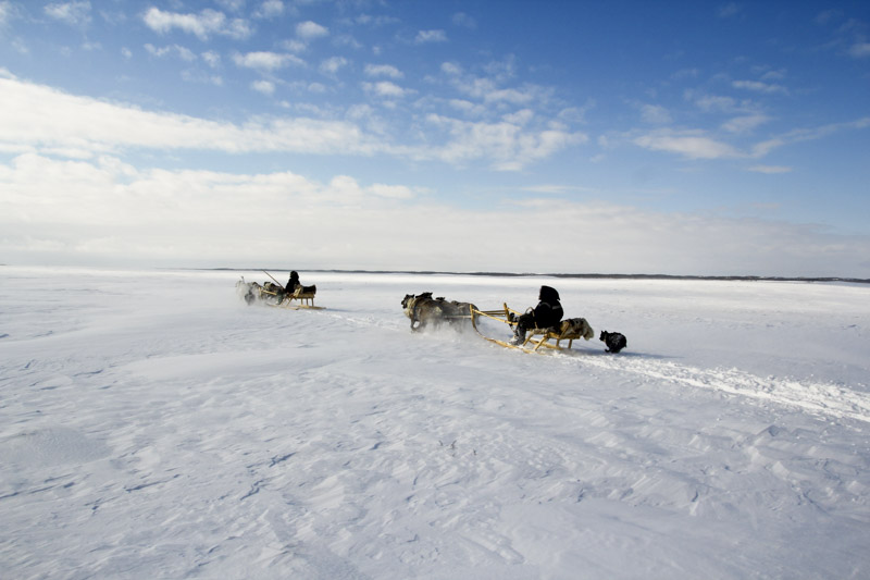 Reindeers in Siberia - Bucket List