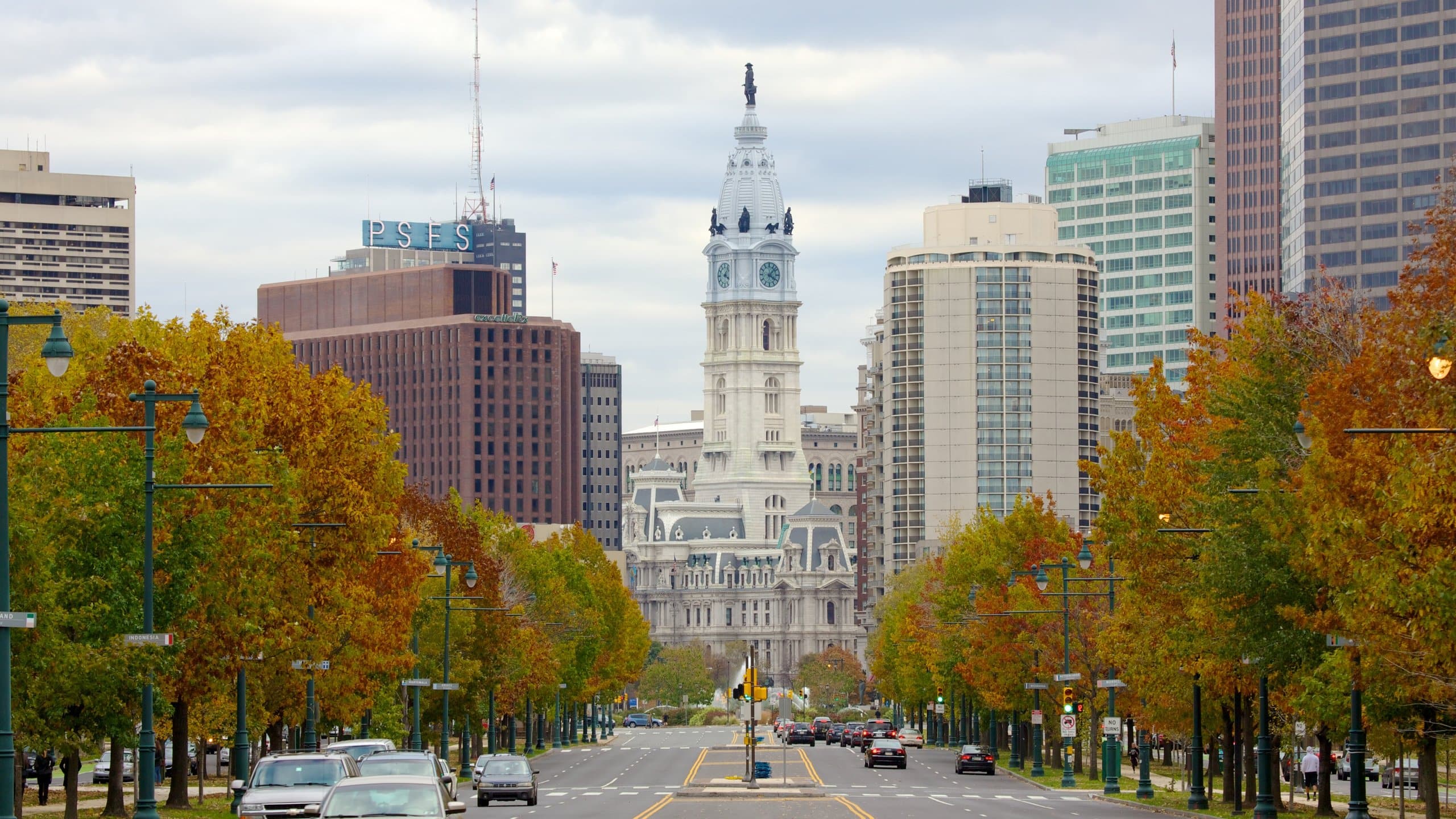 buildings and cars on street lined with trees