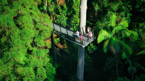 tamborine-mountain