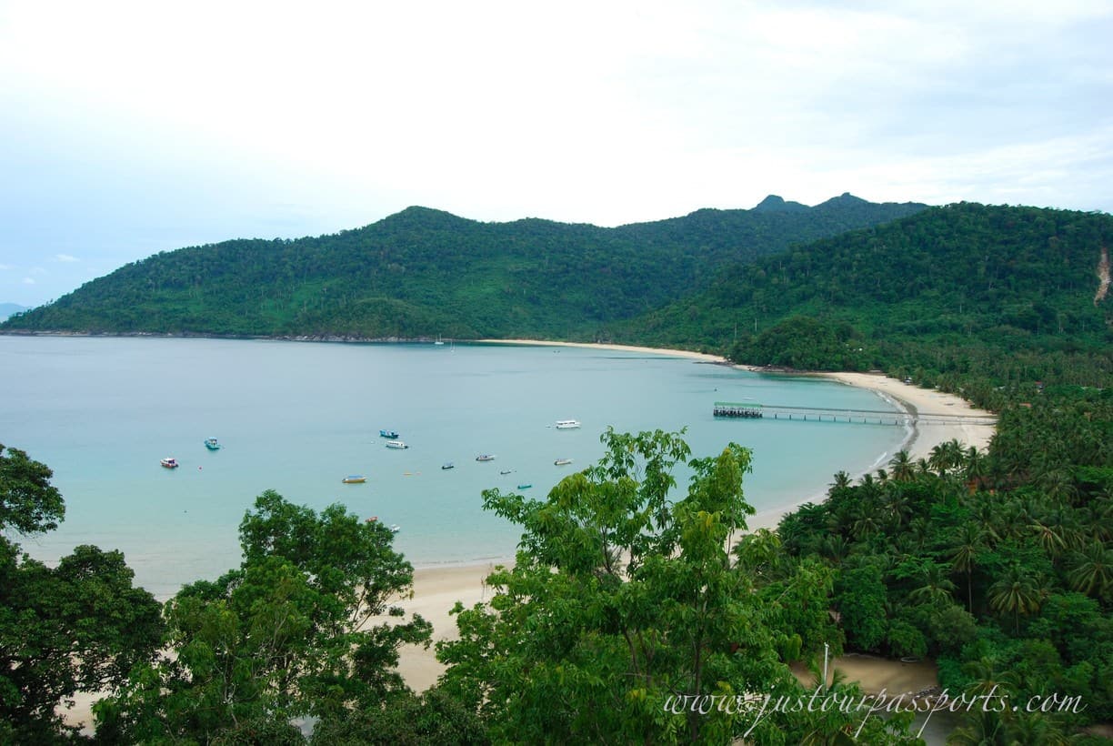 aerial view of island beach with trees