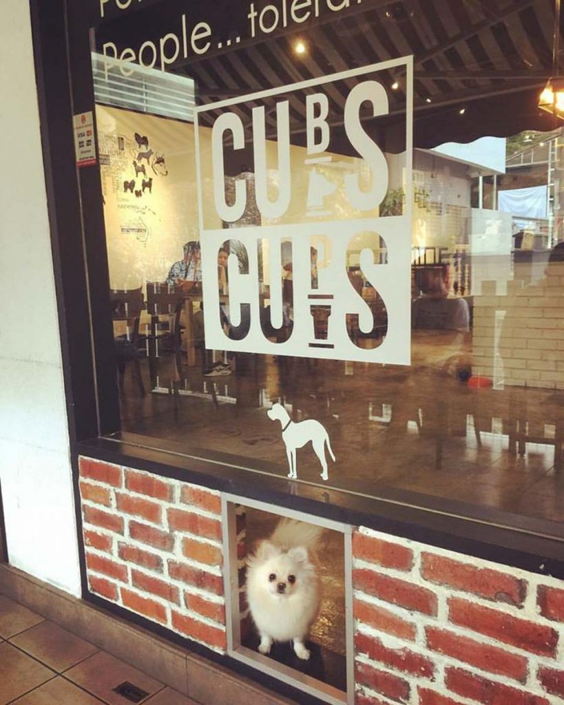 CuBs & CuPs, Kuala Lumpur