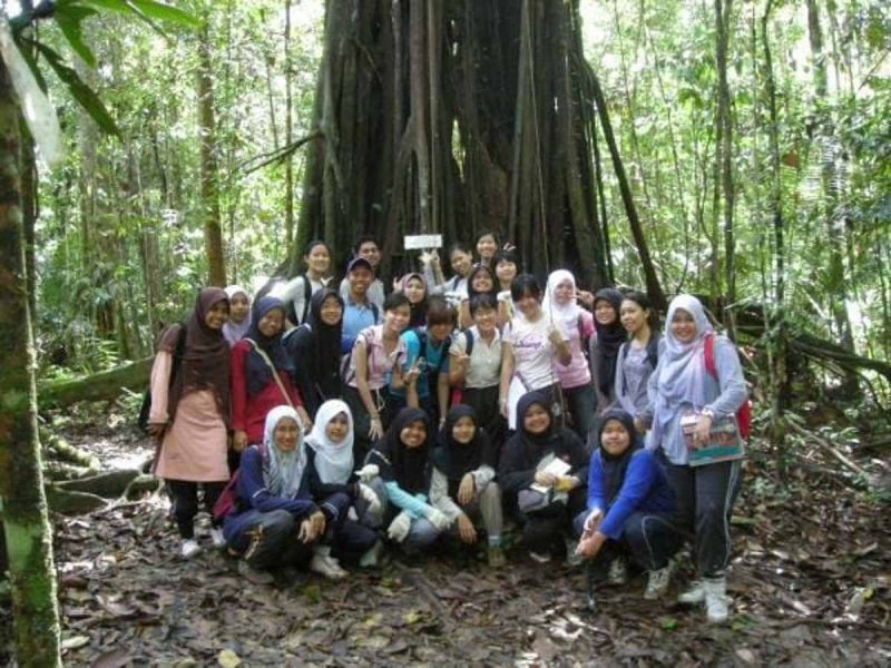 Hiking in Taman Negara