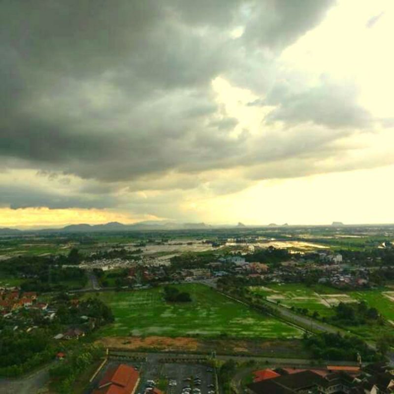 Bukit Cenderawasih