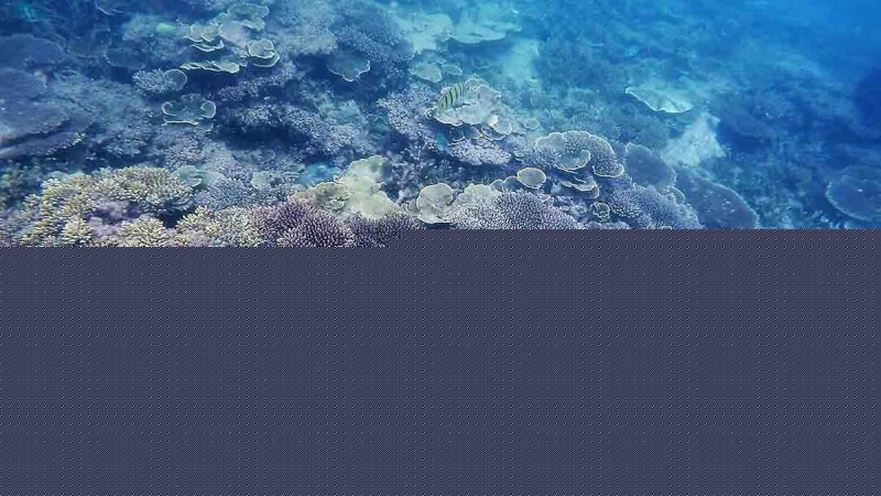 Pulau Sibu