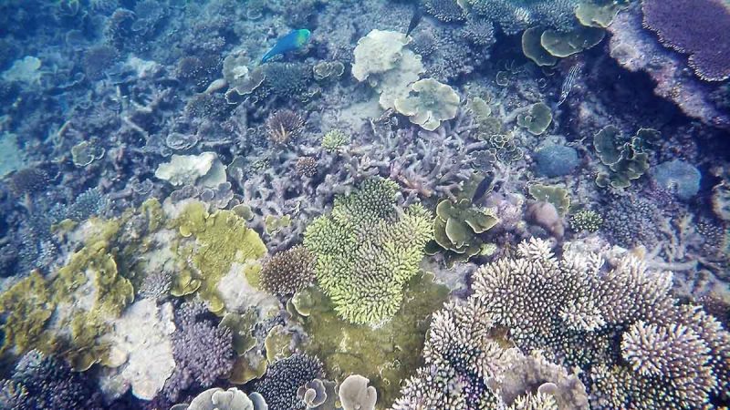 Pulau Sibu