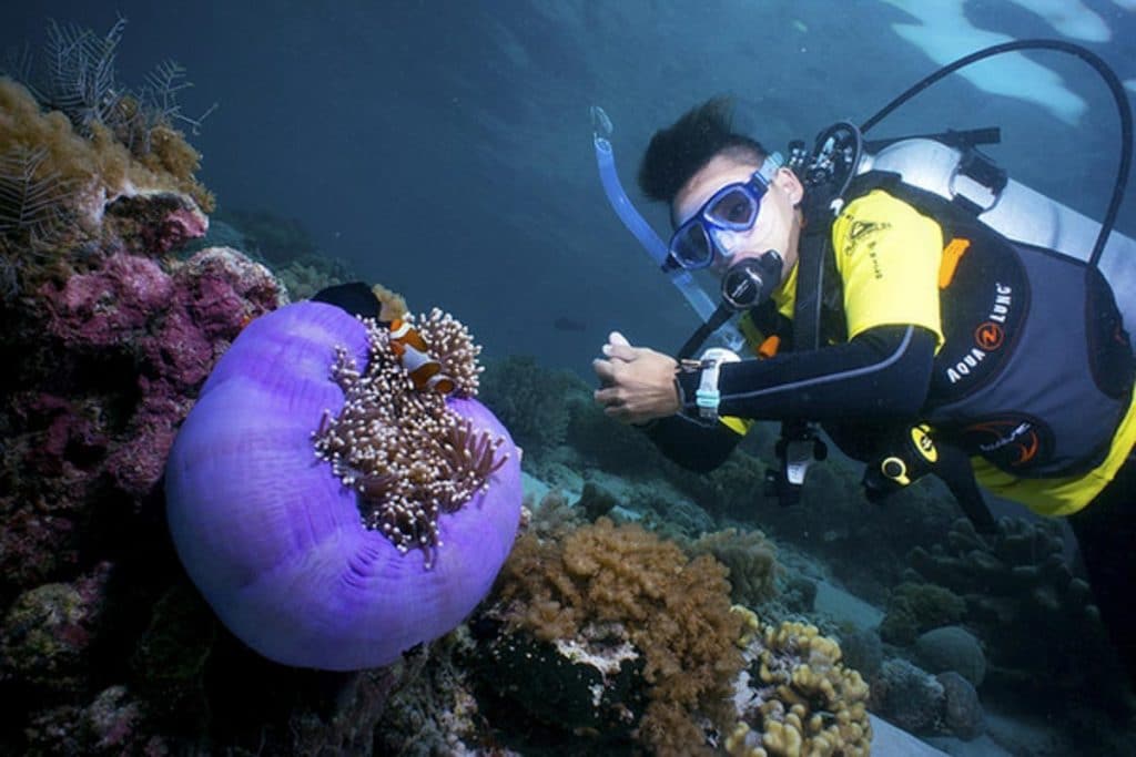 Sipadan Island