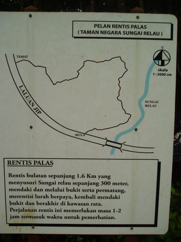 Hiking in Taman Negara