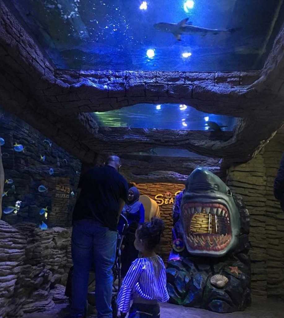 The Shore Oceanarium