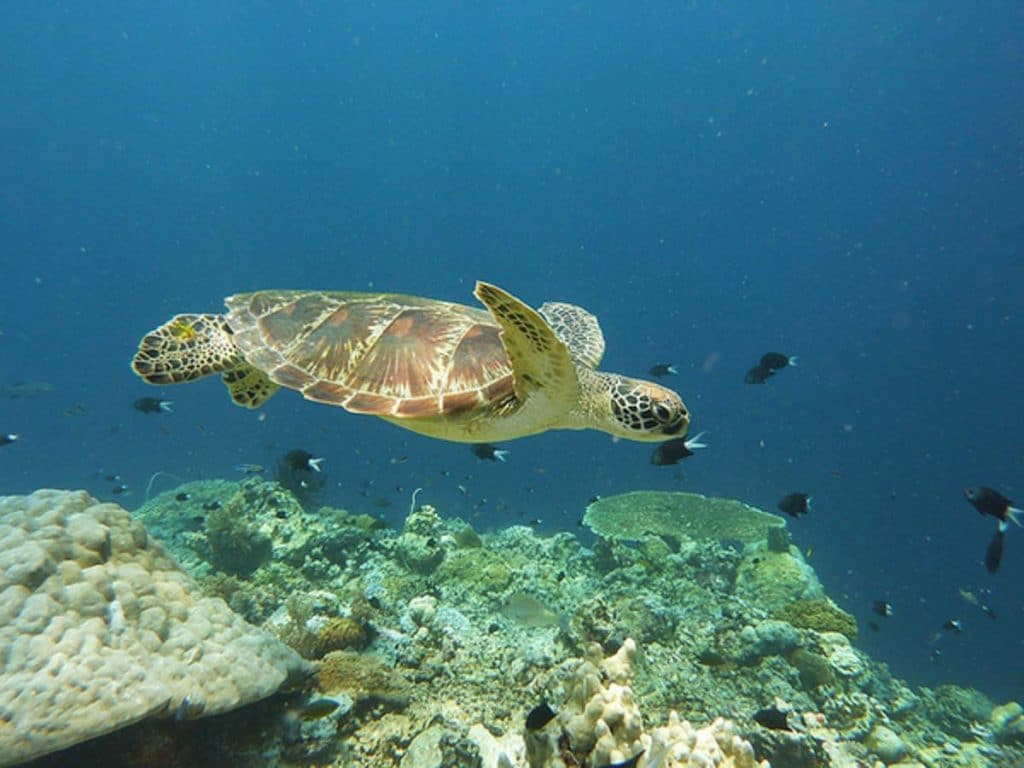 Tun Sakaran Marine Park