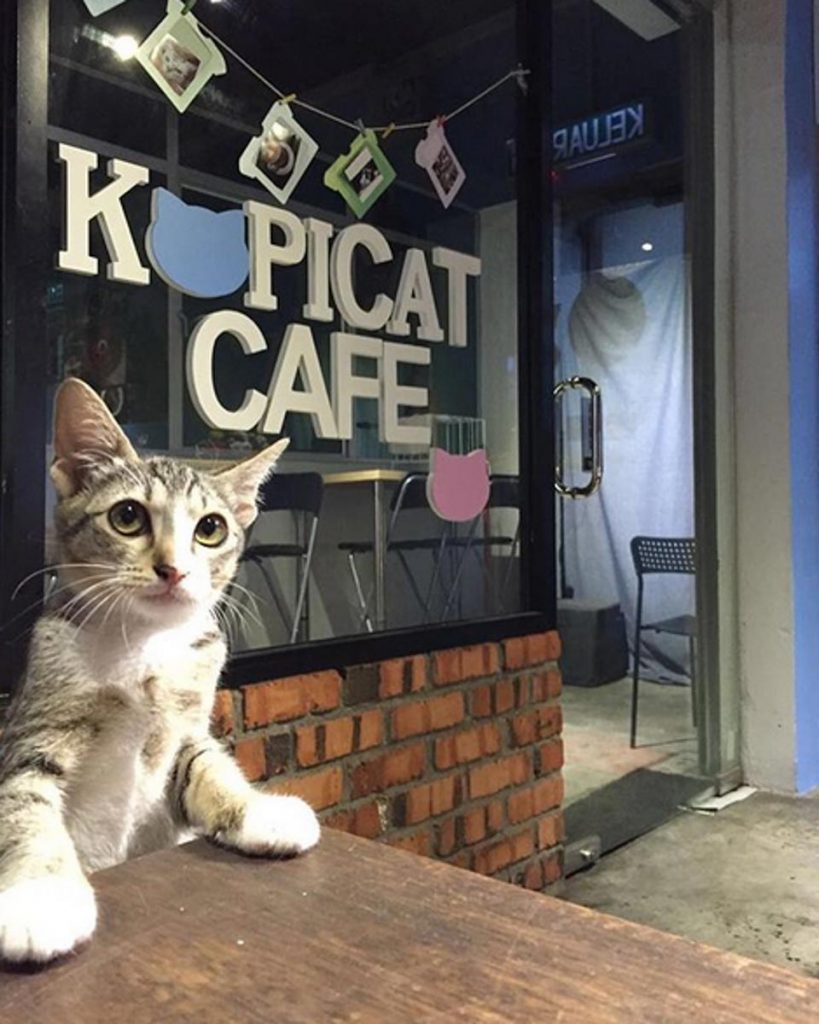 Kopicat Cafe @SS15, Subang Jaya