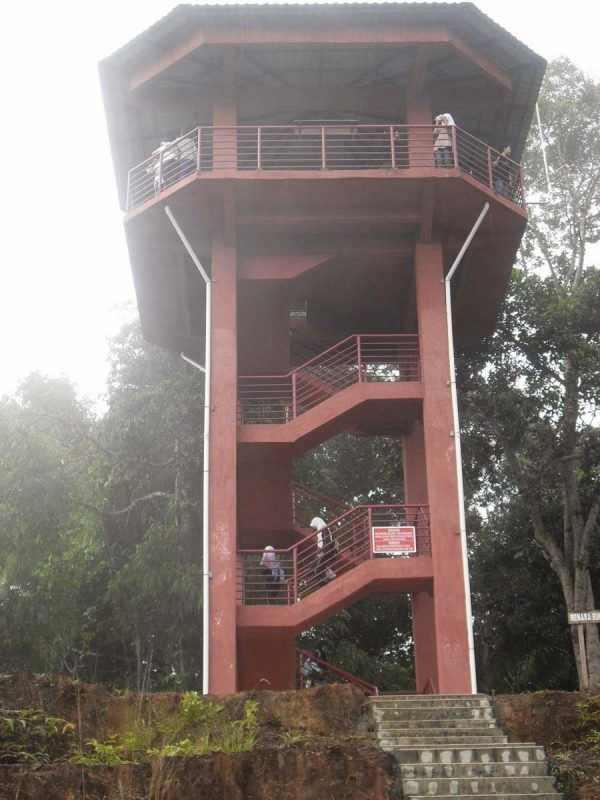 Hiking in Taman Negara