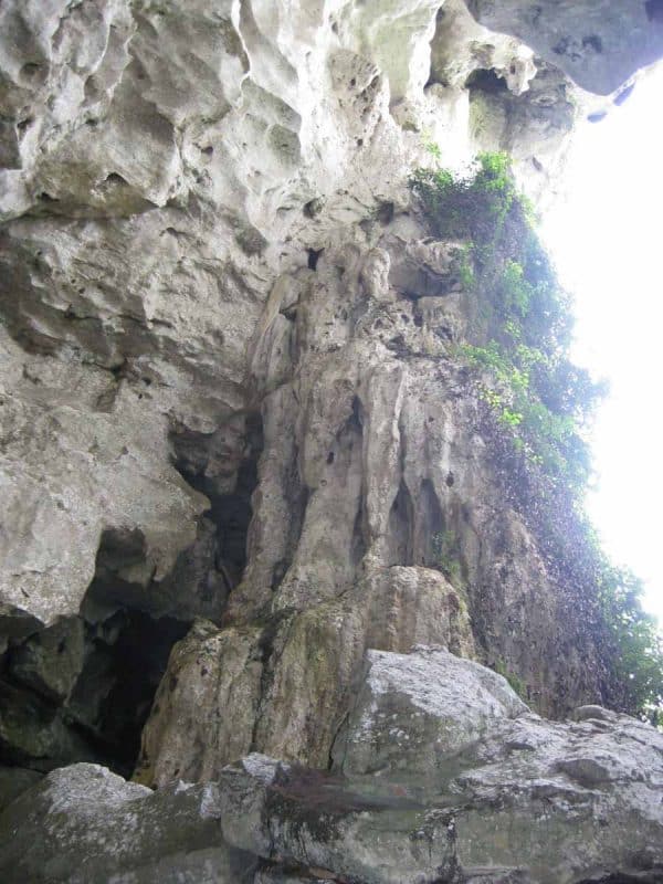 -8-hiking_in_taman_negara