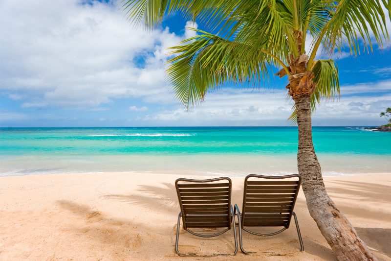 Beach-Palm Trees