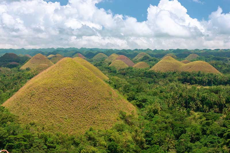 Chocolate Hills