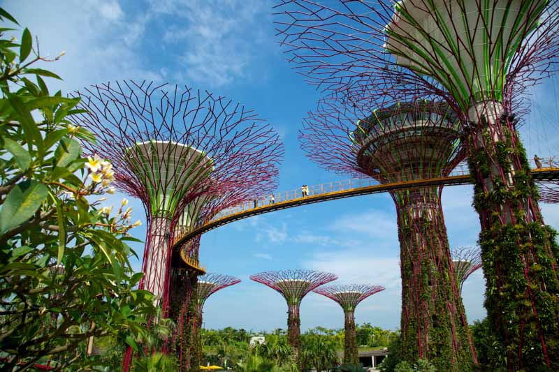 Singapore itinerary: Gardens By the Bay