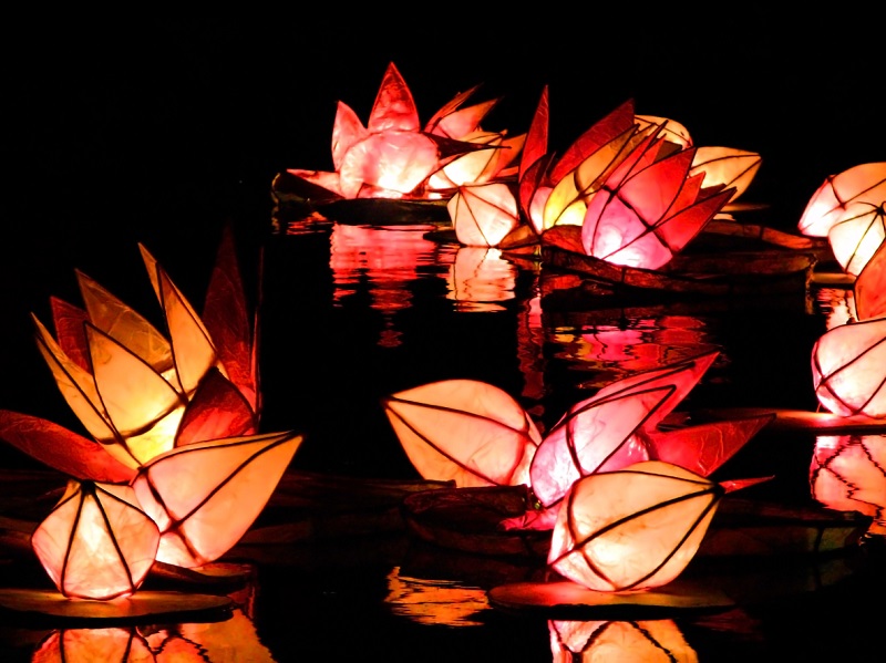 Floating Lanterns Diwali London