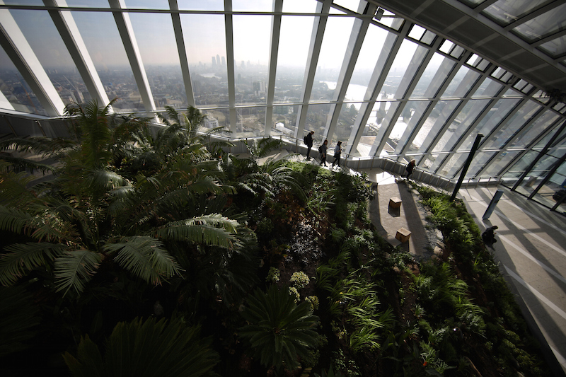 On Top of the London Sky Garden