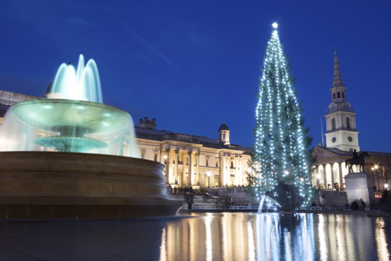 London Christmas tree 