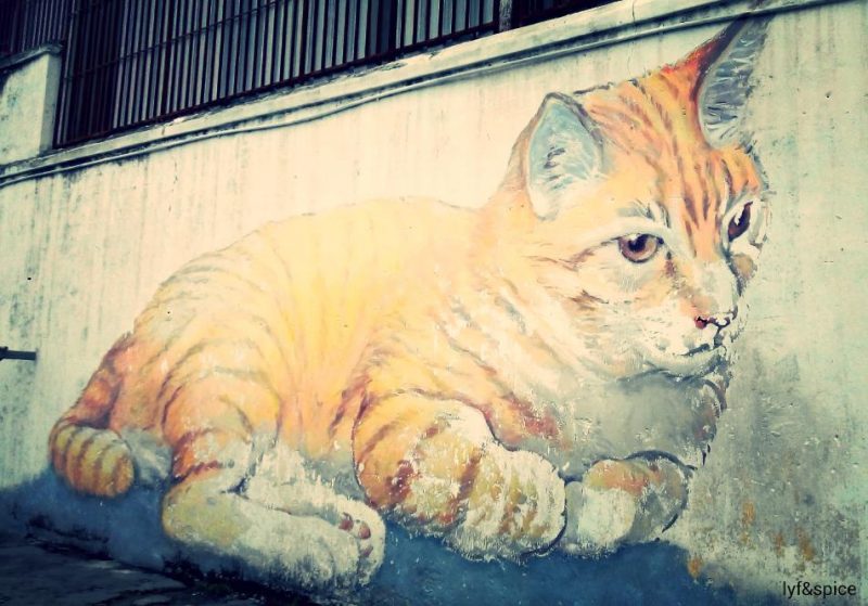 Skippy The Cat in Penang