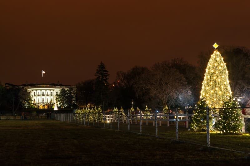 Washington White House Christmas tree 