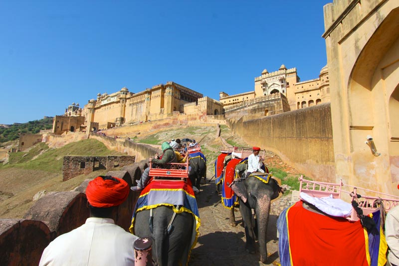 Amber Fort Jaipur