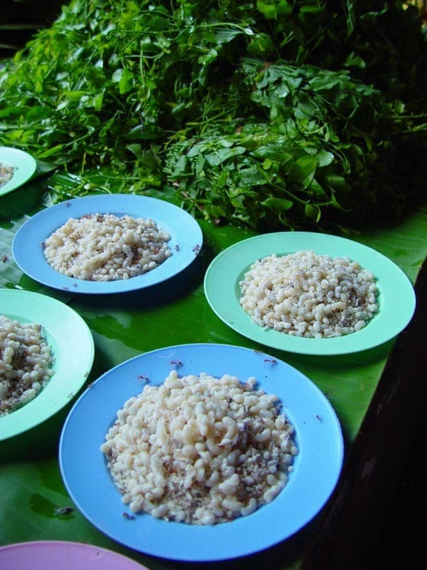 ant-egg-soup