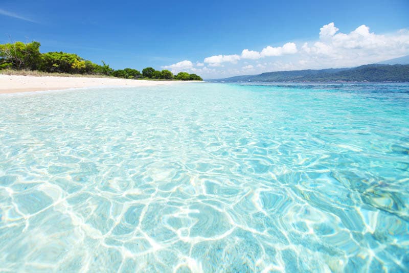 bali-barat-national-park