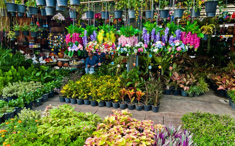 bangkok-flower-markets - Bangkok Shopping Guide