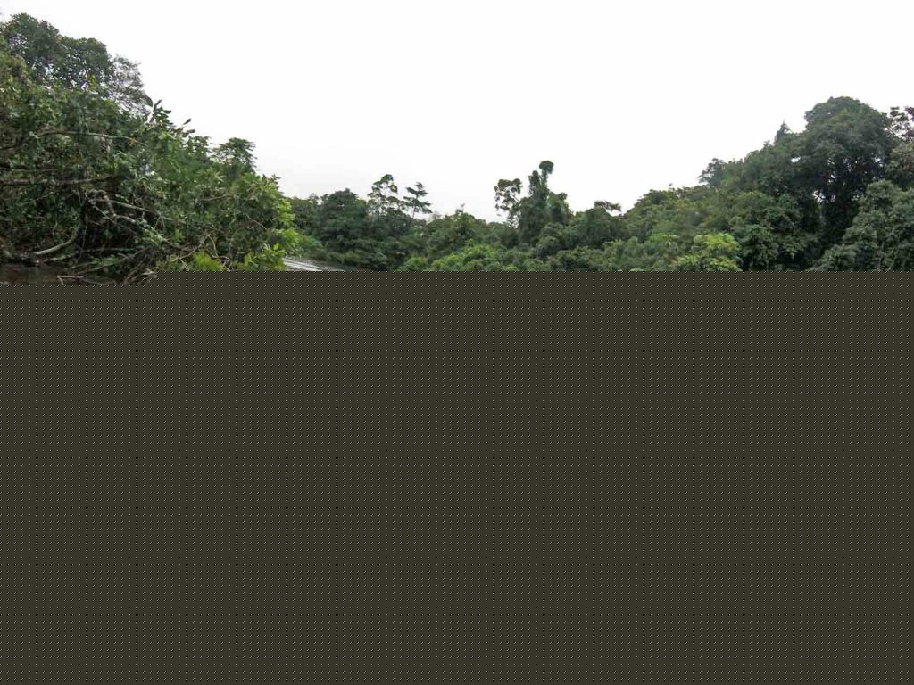 borneo-longboat2