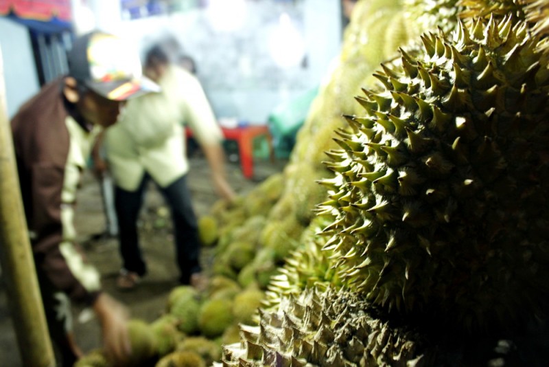 choosing-medan-durian